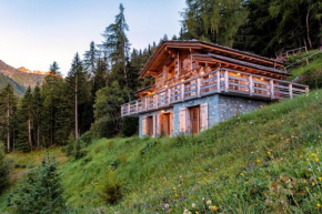 Authentic Swiss Spa Chalet Nesoya Jacuzzi Sauna